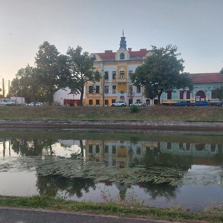 Apartament Pe Malul Raului Bega Timisoara Exterior foto