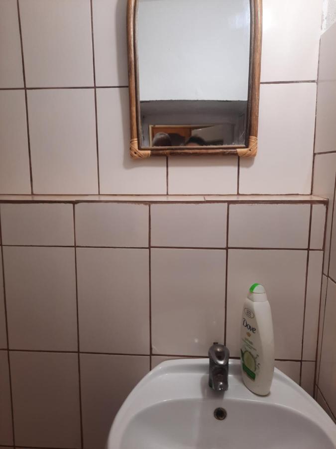 Apartament Pe Malul Raului Bega Timisoara Exterior foto